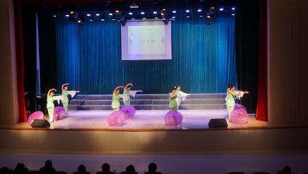 优雅温婉的舞蹈表演《江南雨》